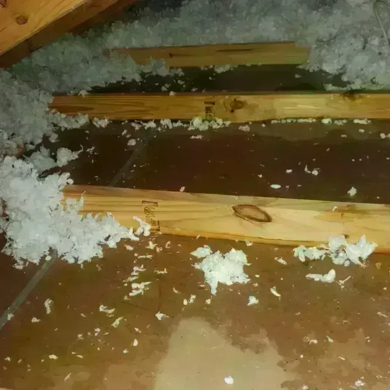 Attic Water Damage in Matagorda County, TX